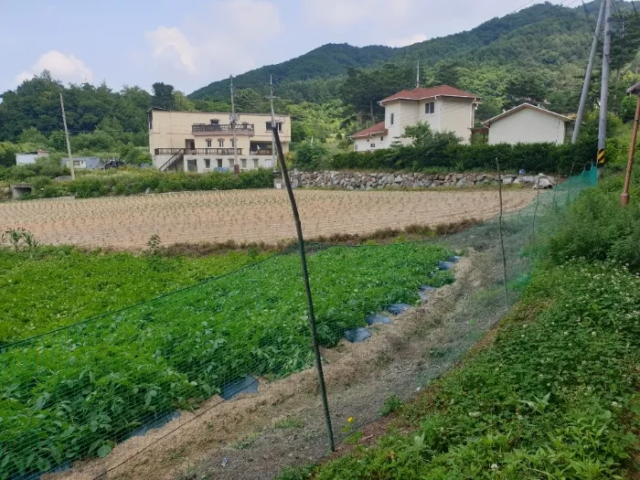 사진 3