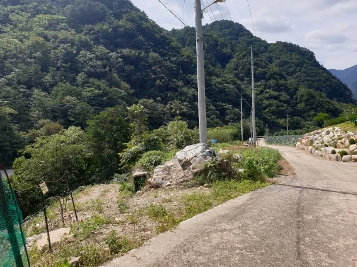 사진 10