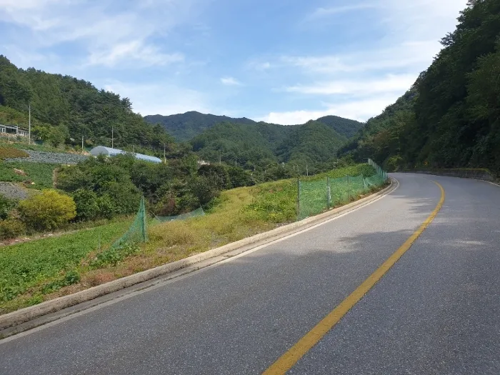 사진 7