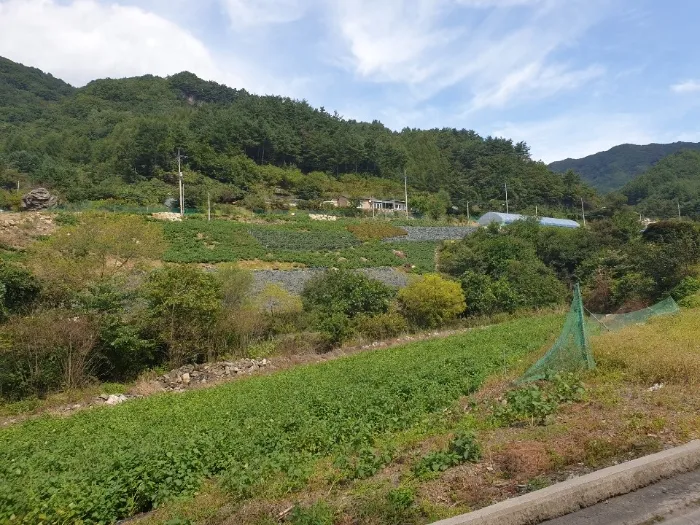 사진 8