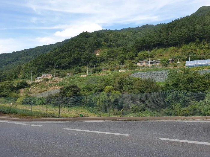 사진 9