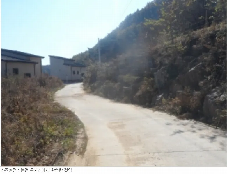 사진 10