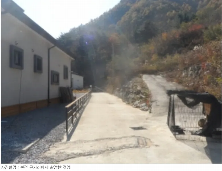 사진 11