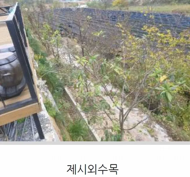 사진 12