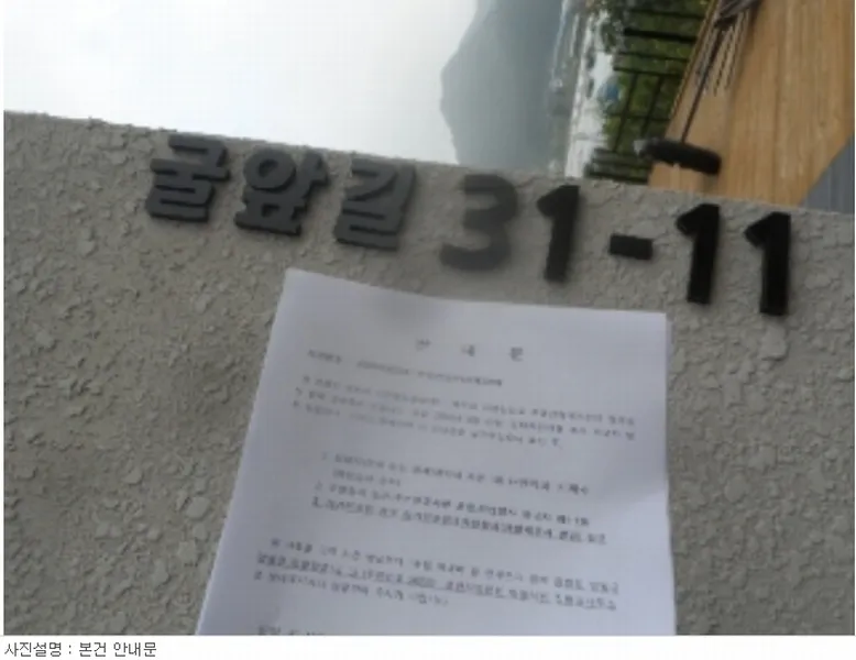사진 13