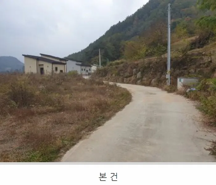 사진 8