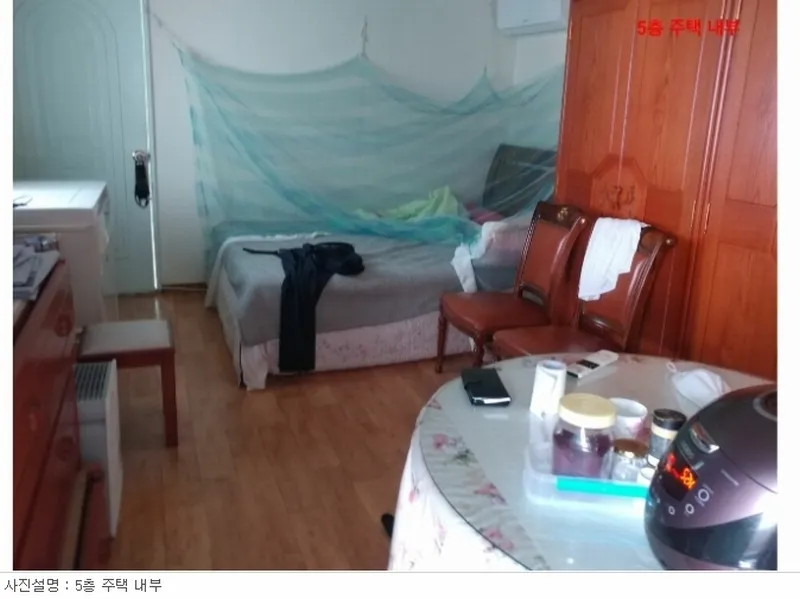 사진 21