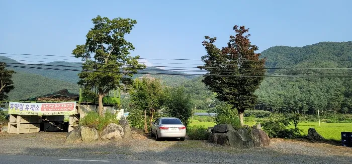 사진 3