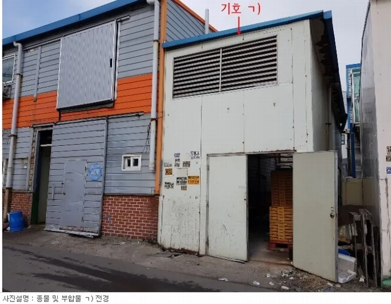 사진 5