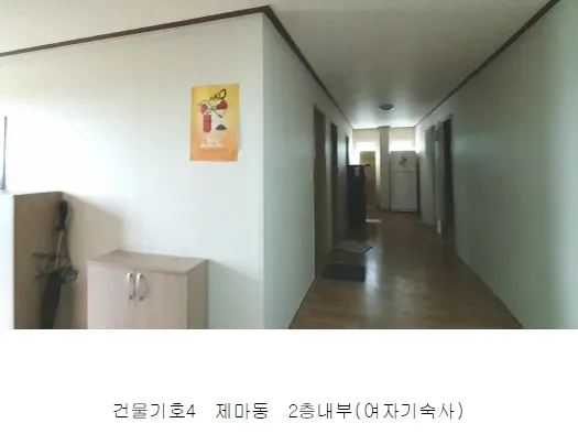 사진 11