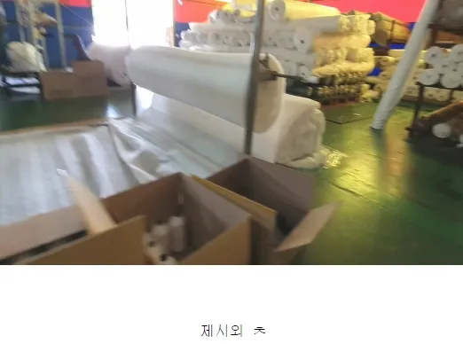 사진 24