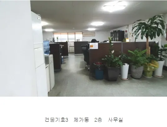 사진 6
