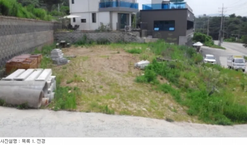 사진 10