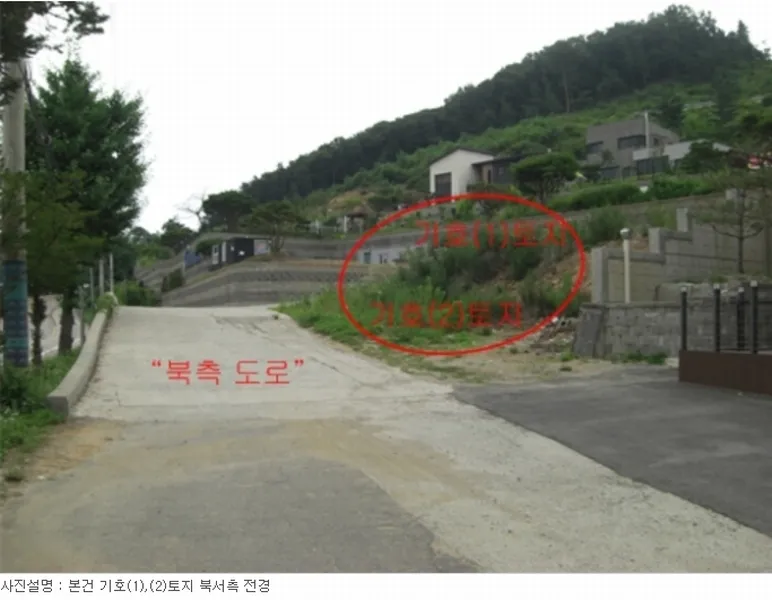 사진 5
