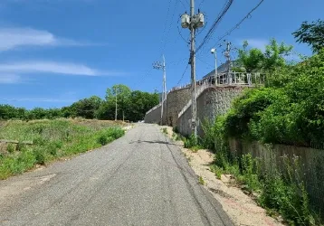 사진 17