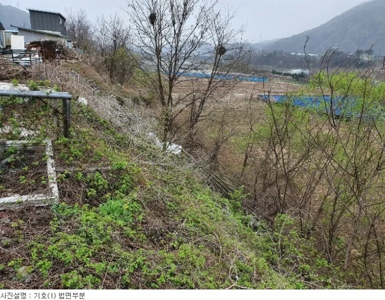 사진 6