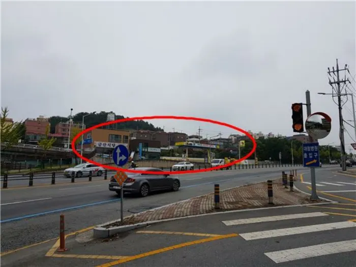 사진 15