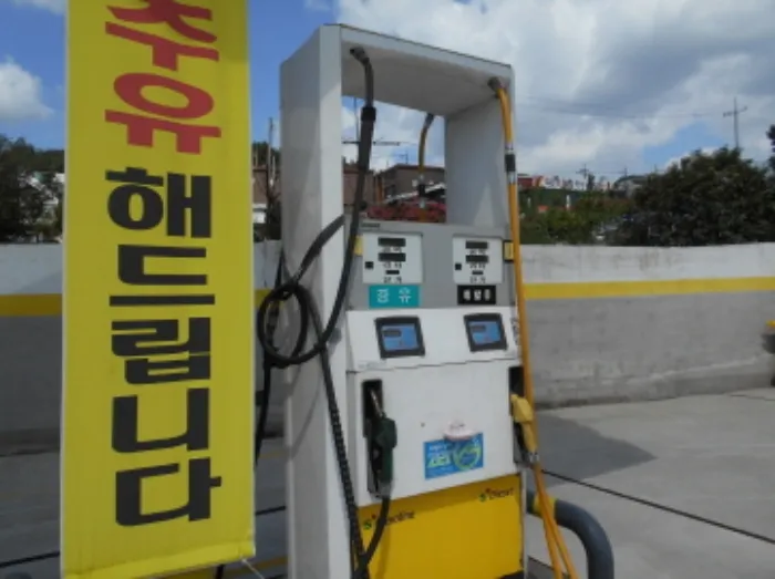 사진 7