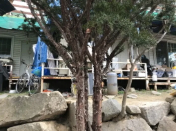 사진 13