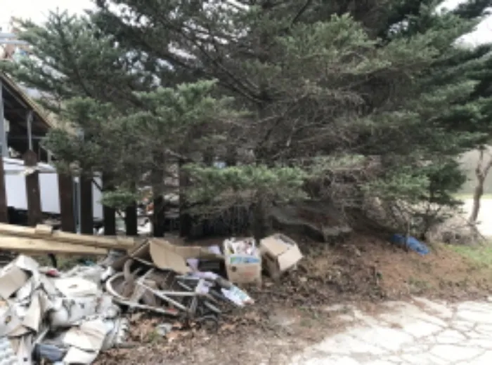사진 2