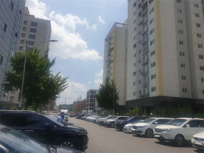 사진 10