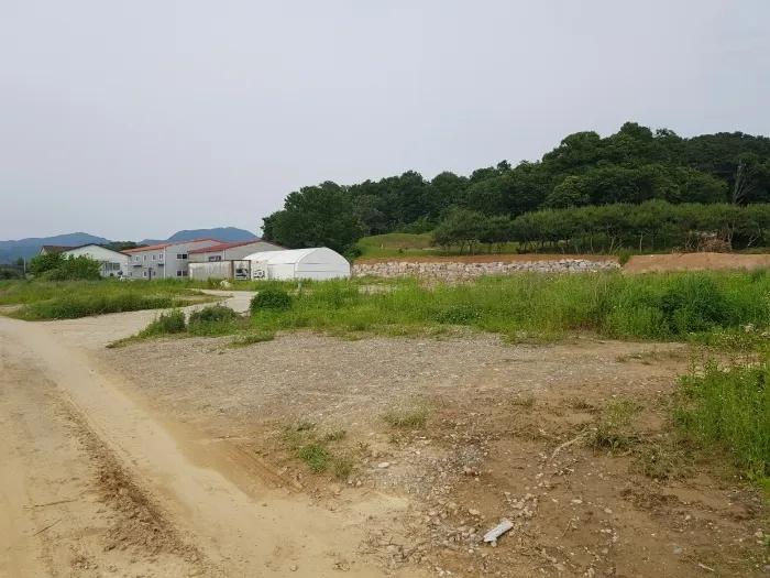 사진 12