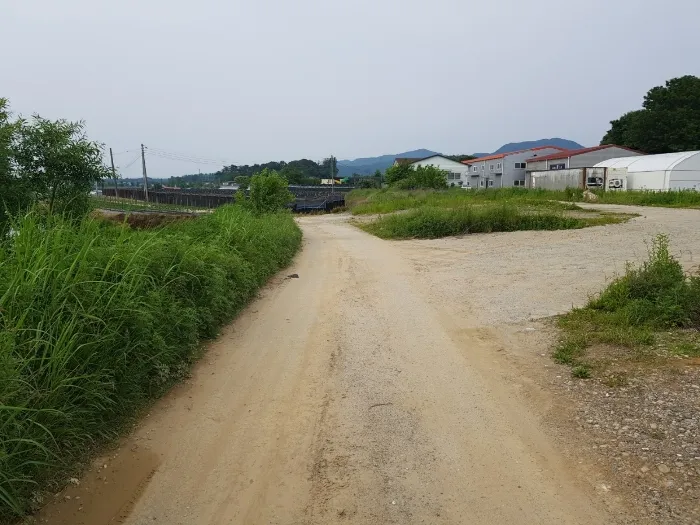 사진 13
