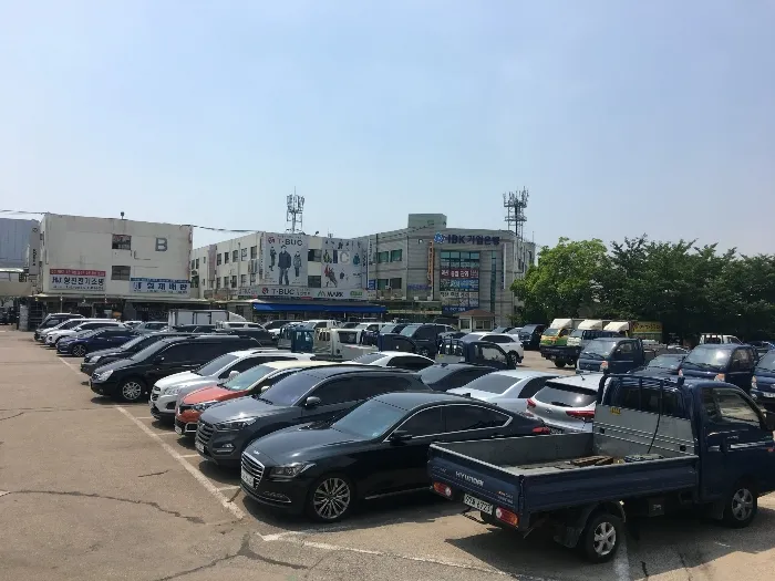 사진 15