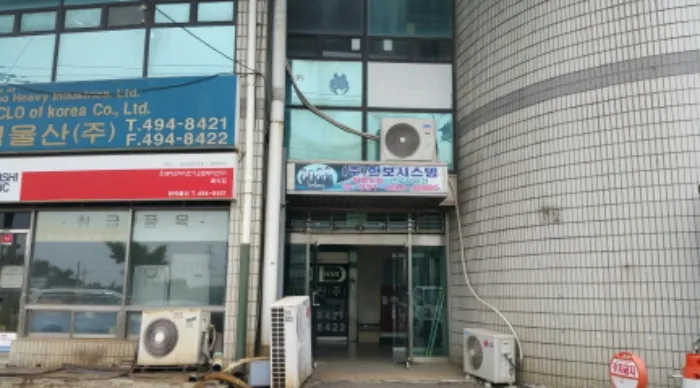 사진 5