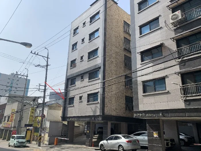 사진 5