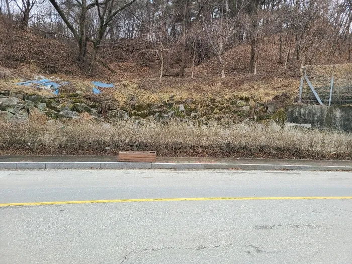 사진 9