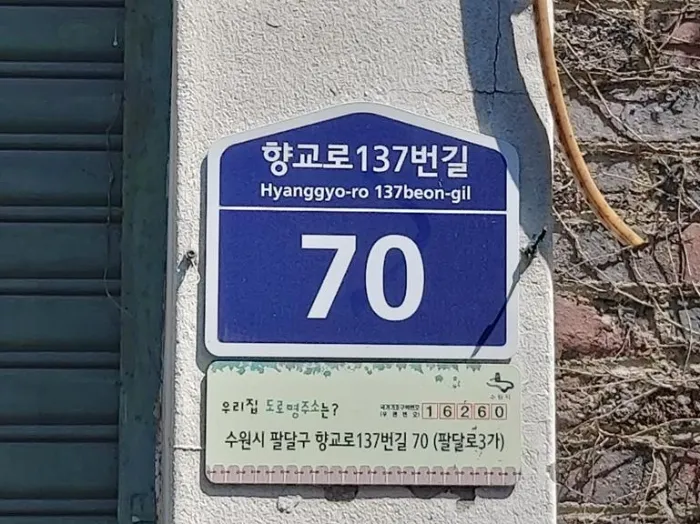 사진 2