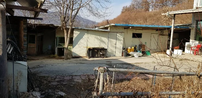 사진 14