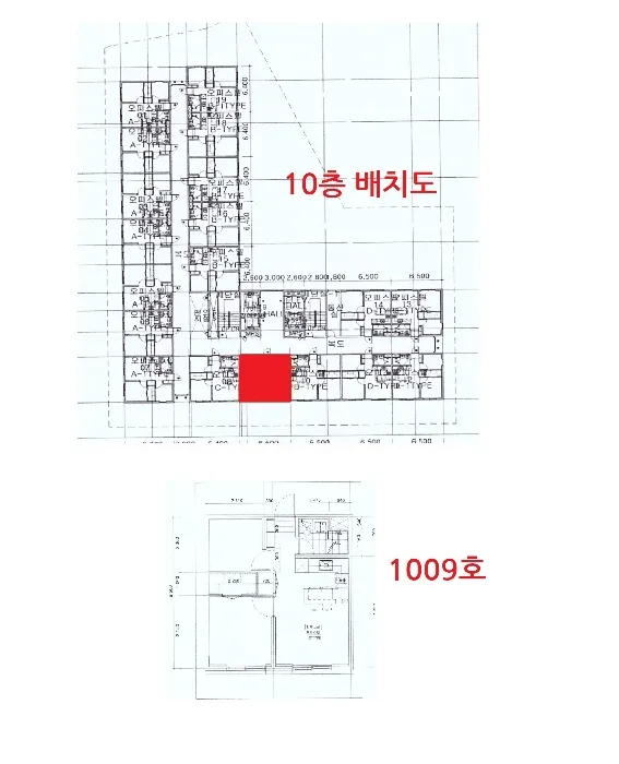 사진 13