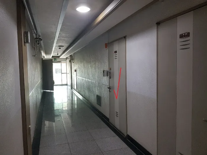 사진 10
