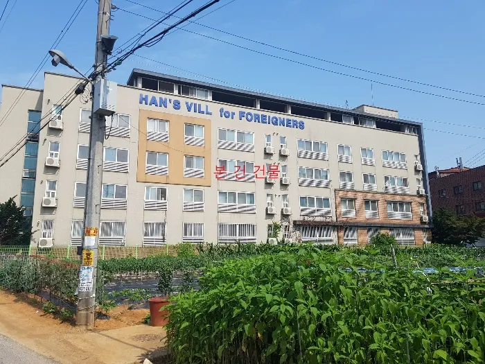 사진 11