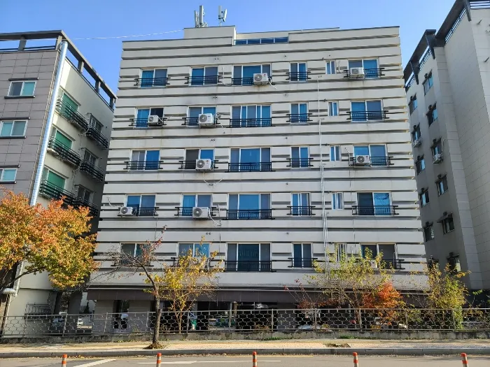 사진 6