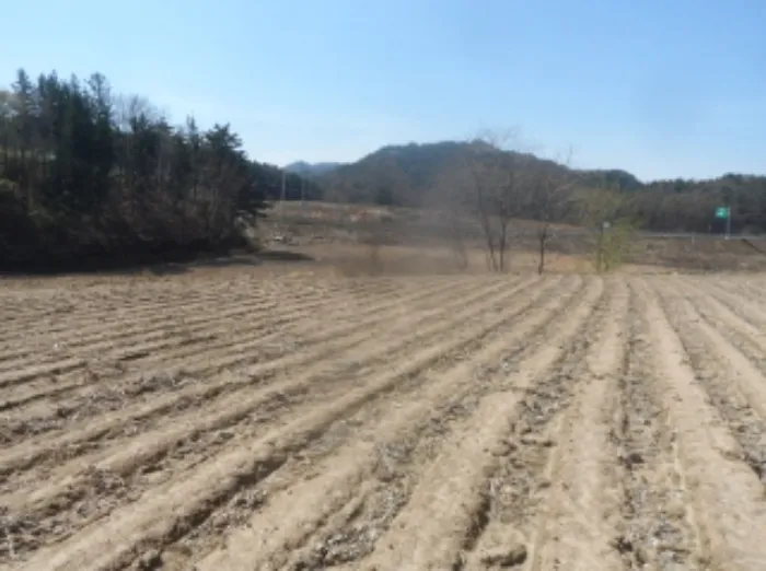 강원도 평창군 진부면 호명리 802 외 1필지