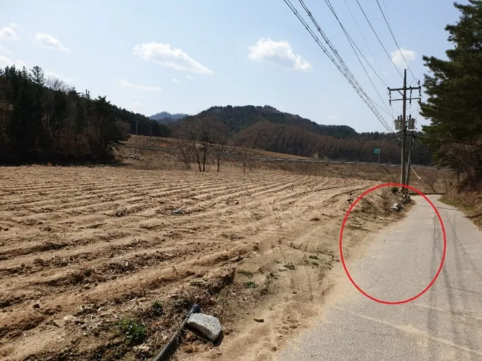 사진 9