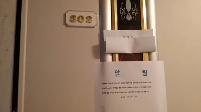 사진 5
