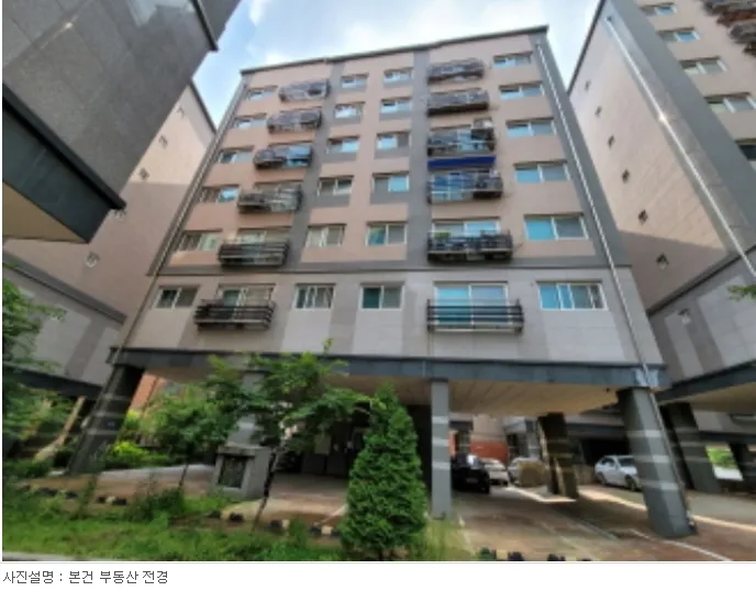 사진 5