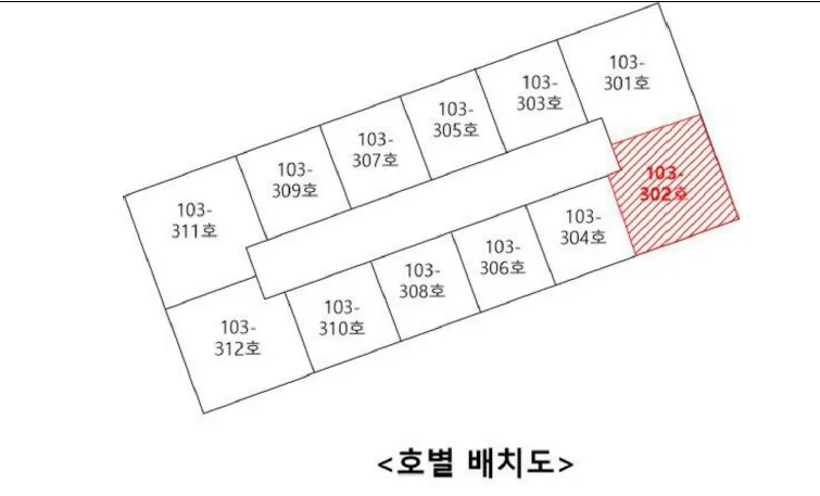 사진 11
