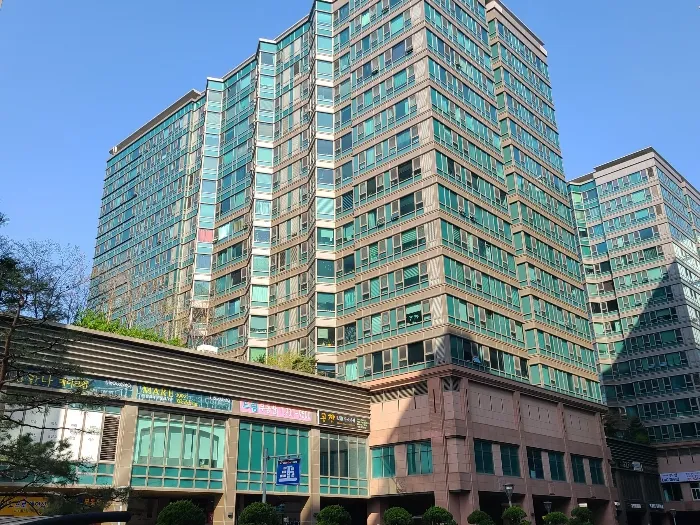 사진 5