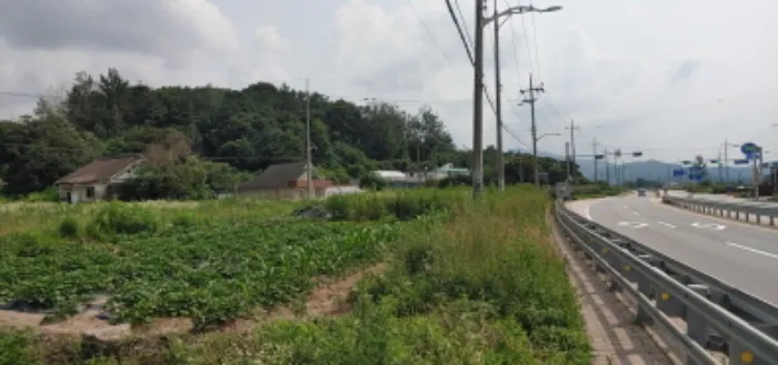 사진 2