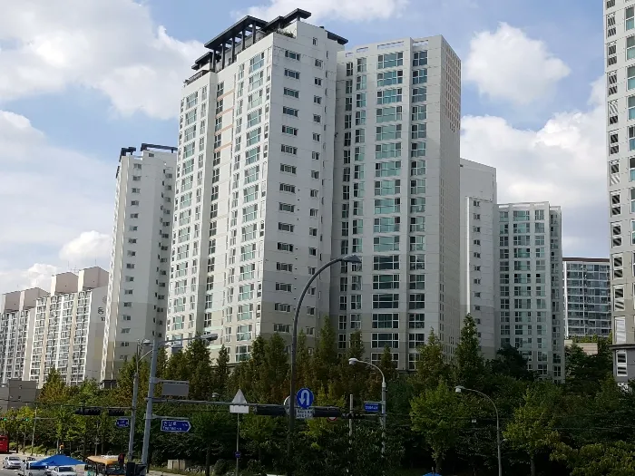 사진 10