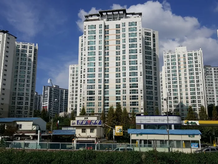 사진 8