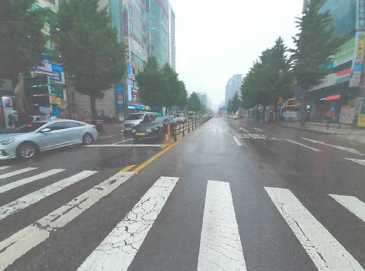 사진 3