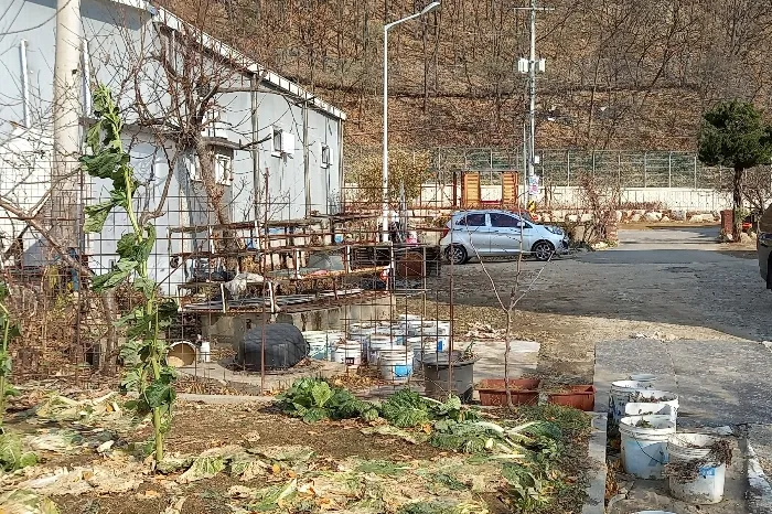 사진 7