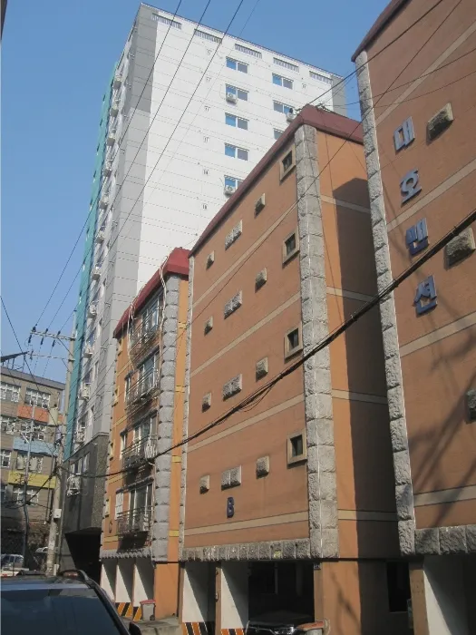 사진 9