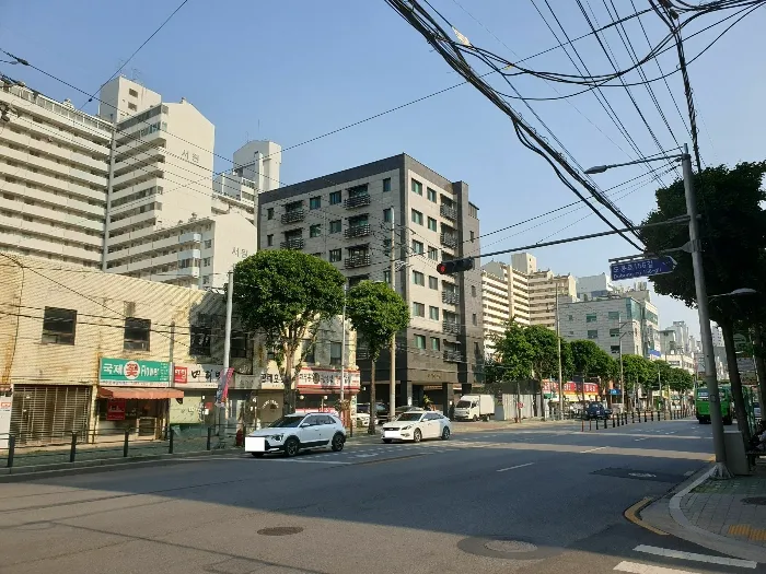 사진 7